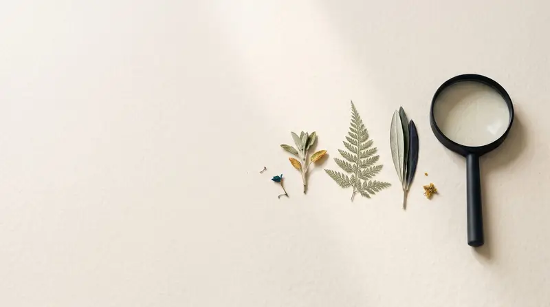 Row of pressed botanical specimens beside a black magnifying glass on cream paper